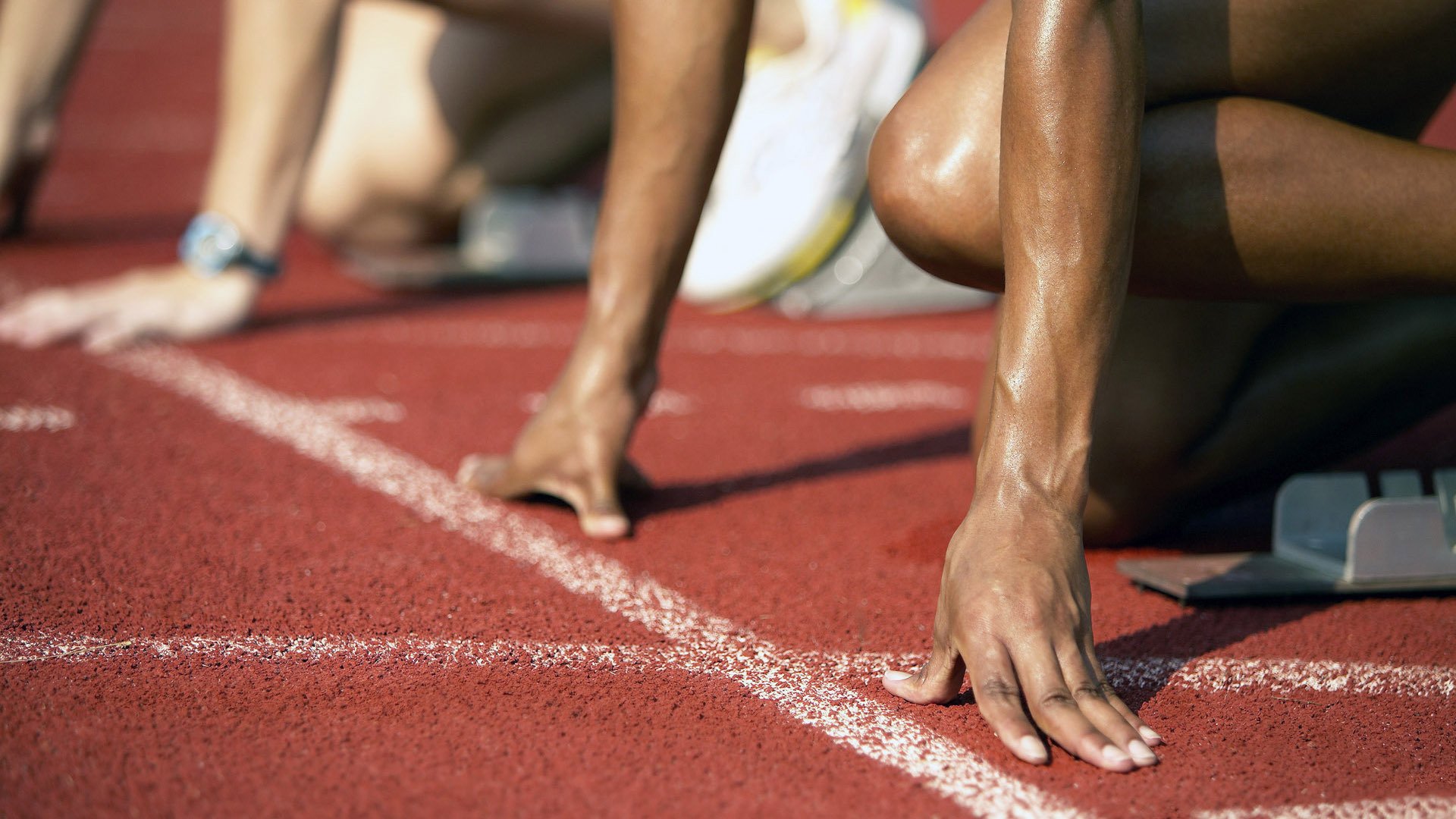 法比尼奥的战争,当阿尔及利亚的铁蹄踏碎挪威童话