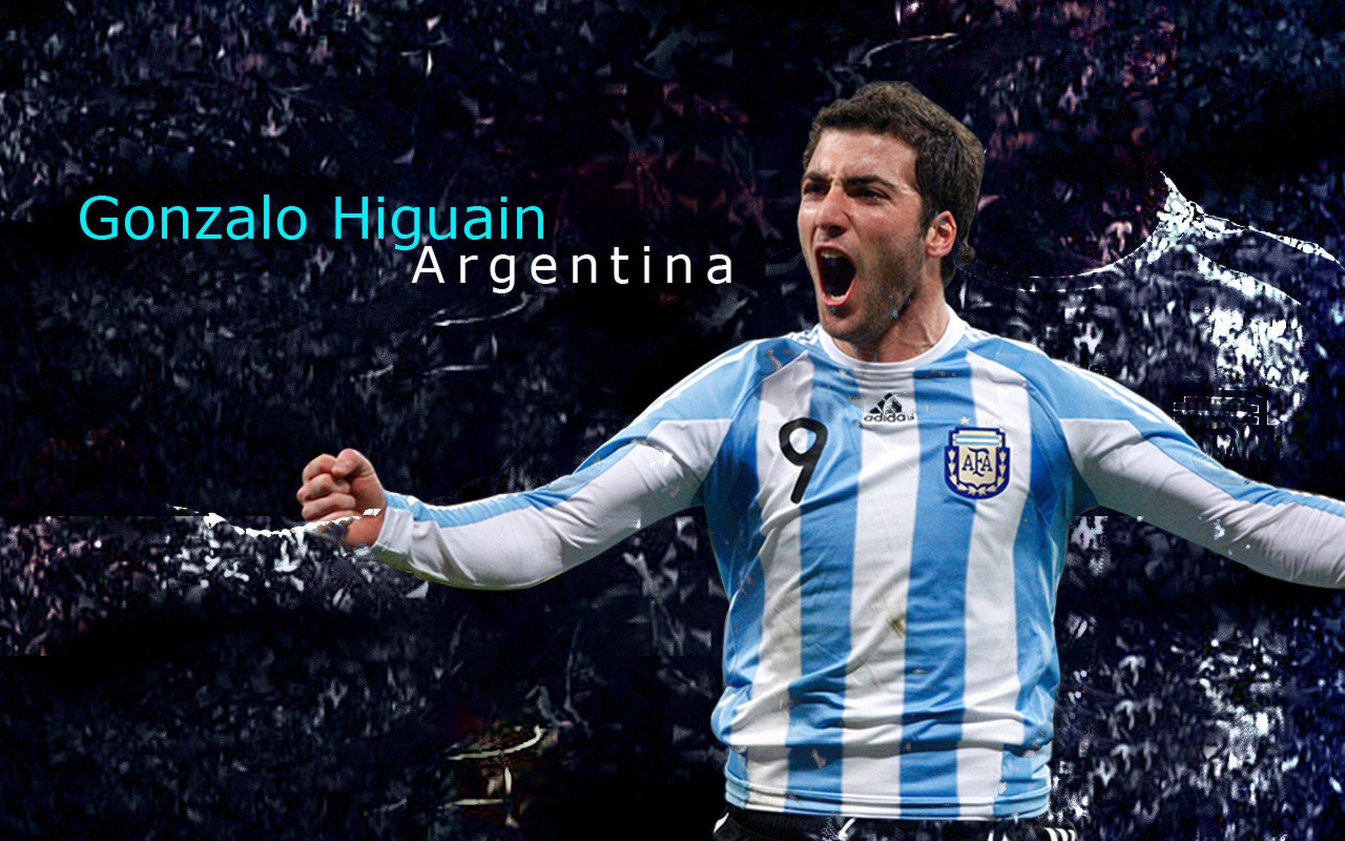 当黄蜂刺穿深圳，一场篮球季后赛背后的文化隐喻