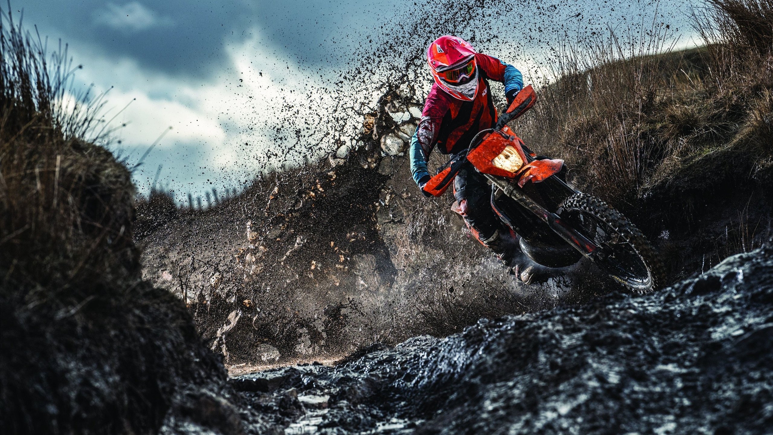 国王稳稳拿下湖人，范弗利特成为关键先生，当小人物决定王朝走向